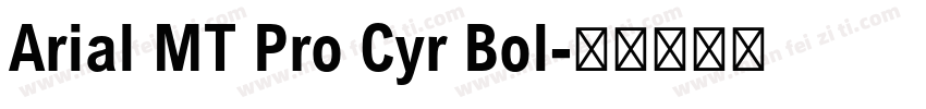 Arial MT Pro Cyr Bol字体转换